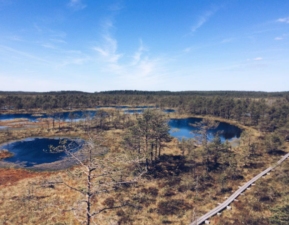 [:et]Kõnnu Suursoo vaatetorn 1.5h/4km/x m <img src="https://www.tourism360.net/mtb/poi/walking.png"/> <img src="https://www.tourism360.net/mtb/poi/fire_green.png"/>[:en]Kõnnu Suursoo tower 1.5h/4km/x m <img src="https://www.tourism360.net/mtb/poi/walking.png"/> <img src="https://www.tourism360.net/mtb/poi/fire_green.png"/>[:]